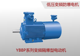 YBBP變頻防爆電機